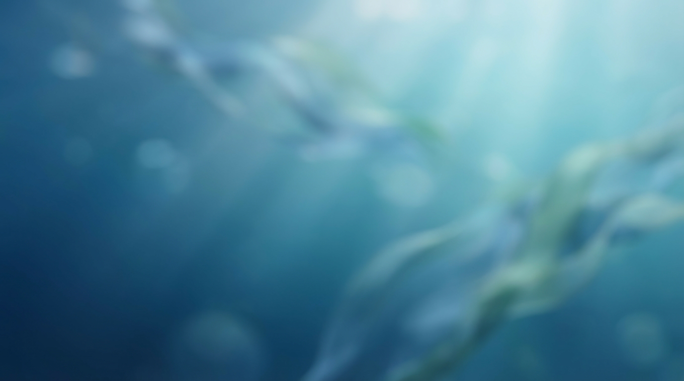 What is static apnea? Rules and safety
